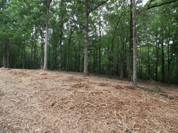 0 Mayne Trace Rd, Waverly, TN 37185