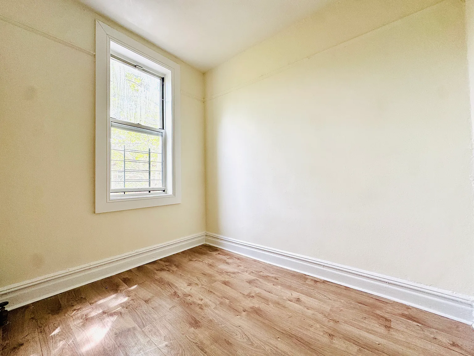 279 Schaefer Street — Photo 4