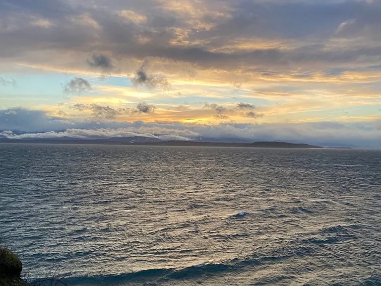 Window View