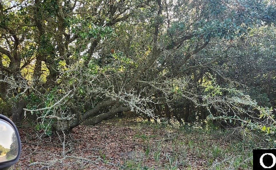 1st image of 2216 Sandpiper Rd Lot 5