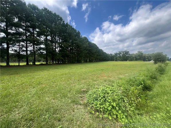 Edwards Store Rd, Mount Olive, NC 28365