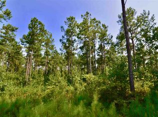 1336 Estes Rd, Piedmont, AL 36272