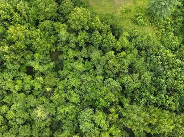 Patuxent Rd, Odenton, MD 21113