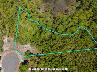 24 Leap Frog Ln, Panacea, FL 32346