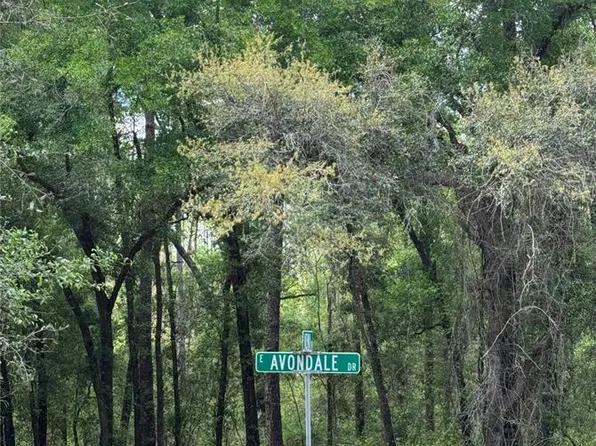 455 E Avondale Dr Lot 22, Dunnellon, FL 34434