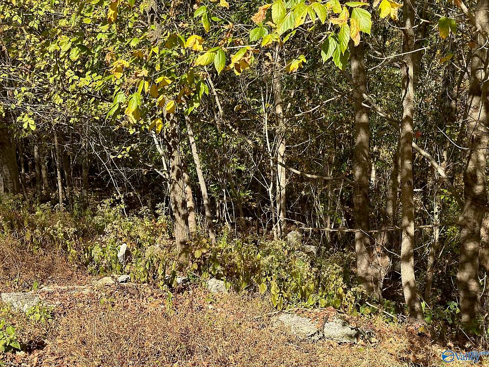 2nd image of 4601 Legacy Preserve Way SE