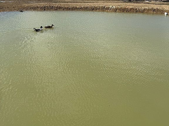 4th image of 1281 Pumpkin Center Rd