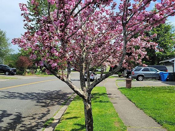 4th image of 506 Skinner Way SW