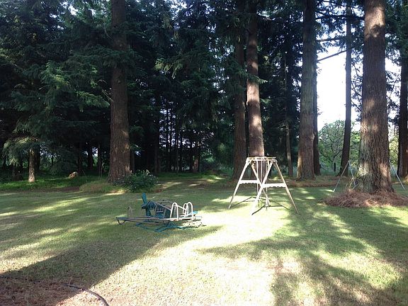 Serene back yard