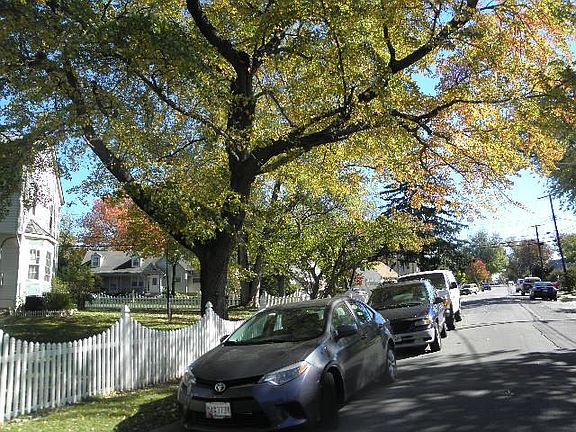 5th image of 903 Lewis Ave
