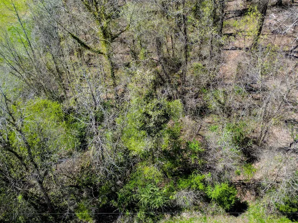 0 NW Red Clay Rd, Cohutta, GA 30710
