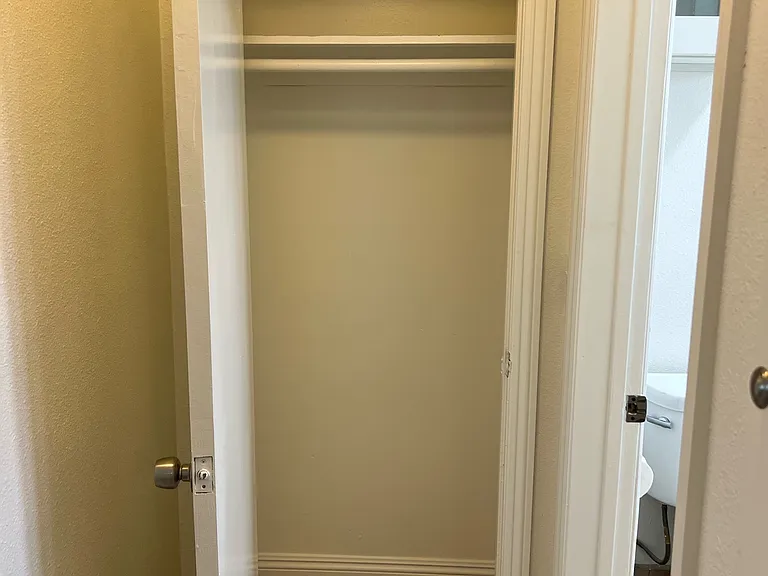 Hall closet storage