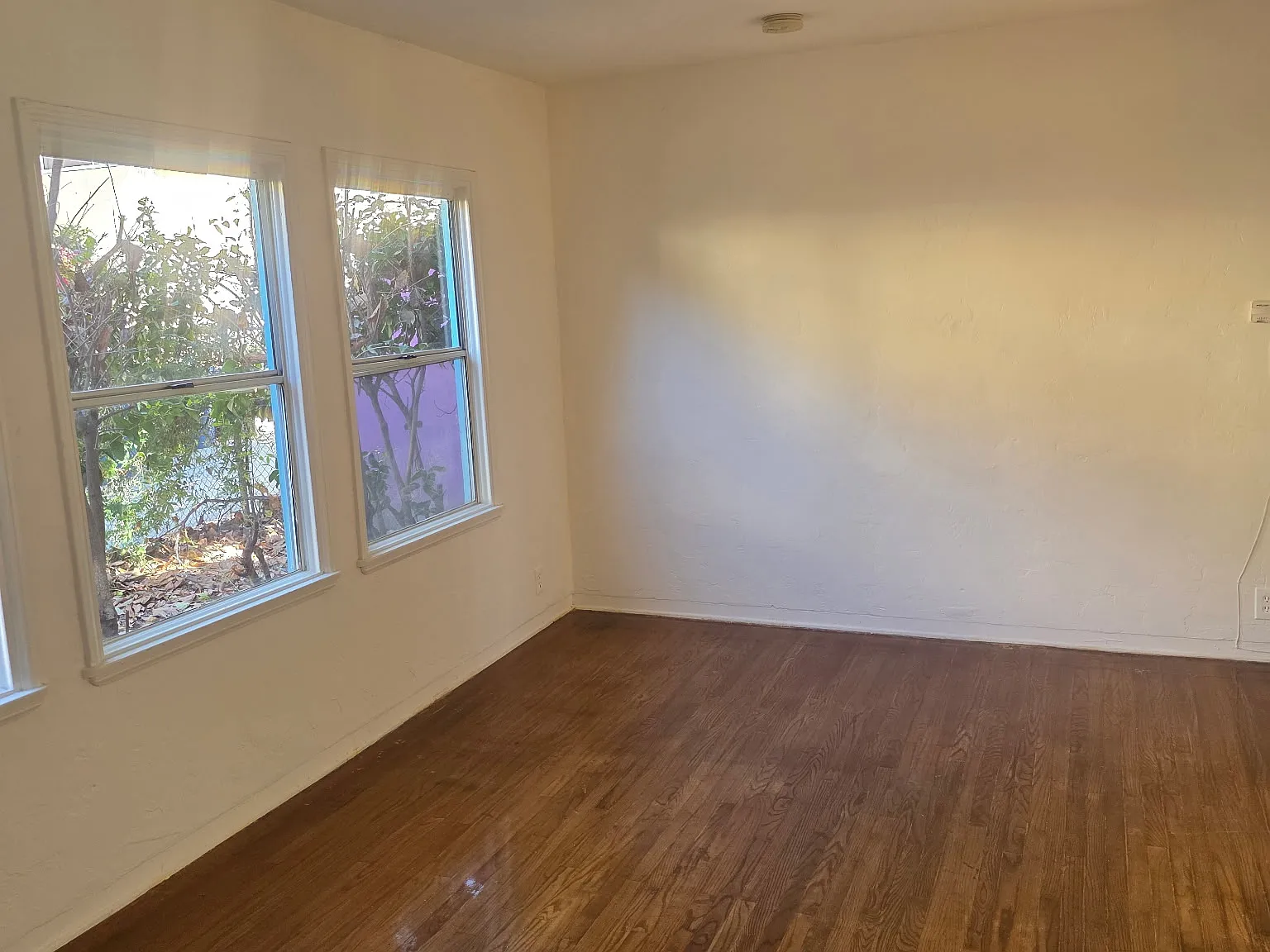 3 bed, 950 sqft, $3,000 — Photo 4