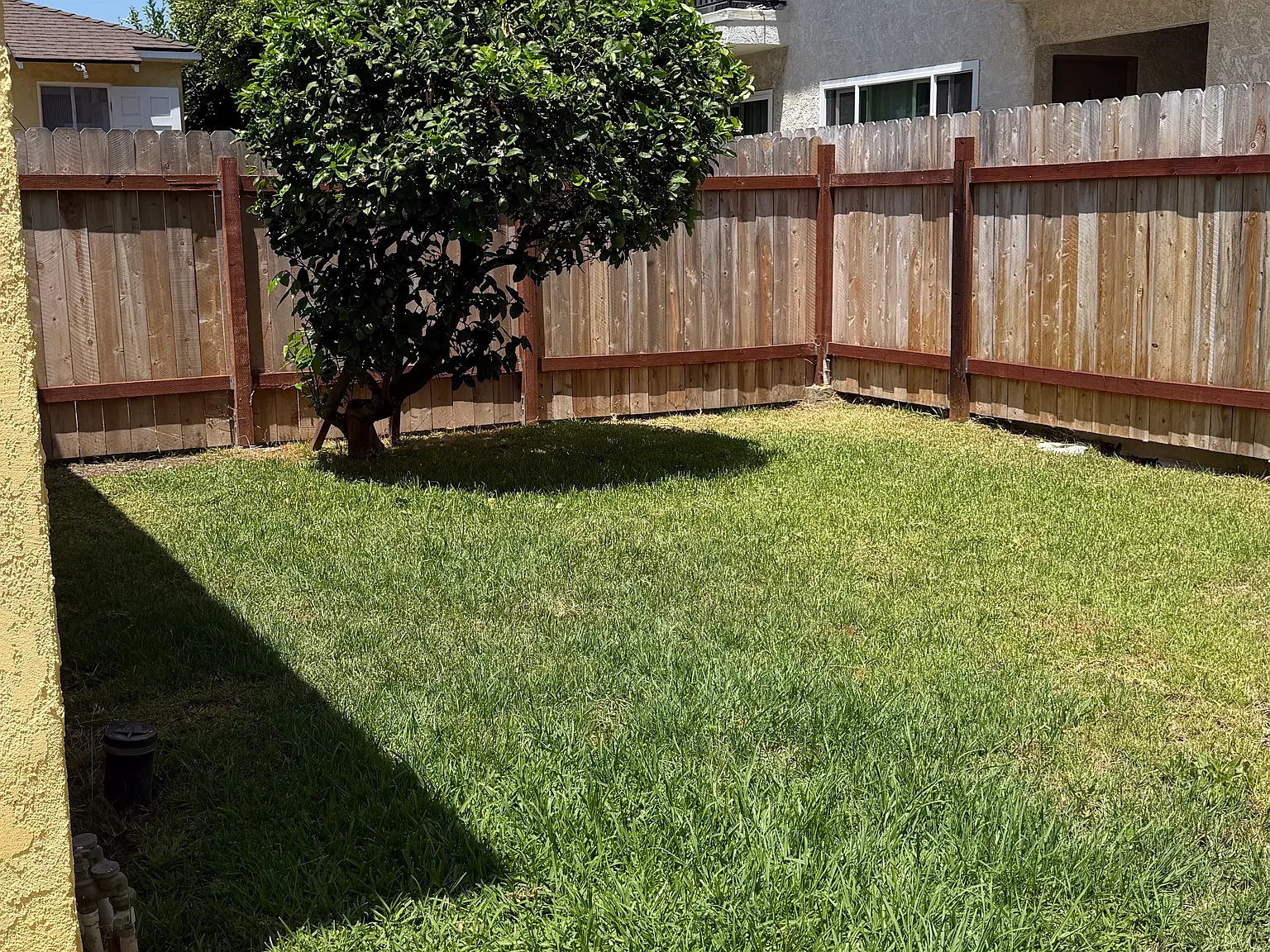1 bed, 950 sqft, $3,098 — Photo 2