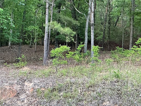 2nd image of 148 Jasmine Ridge Rd