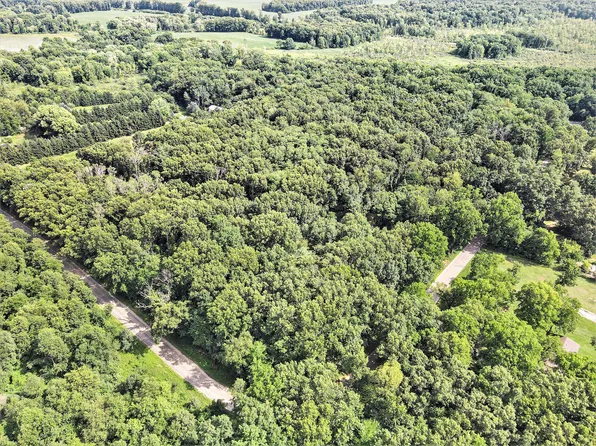 Dudd Rd Parcel 2, Three Rivers, MI 49093