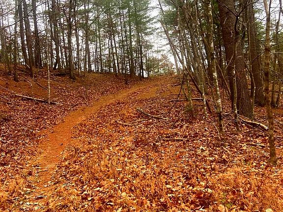 2nd image of Spitz Ln