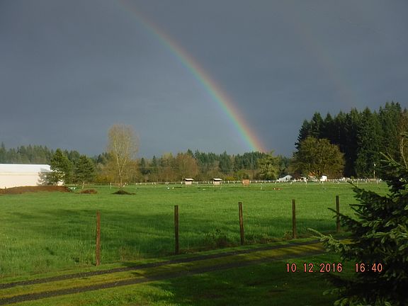 afternoon from back porch