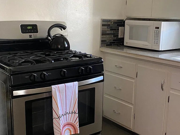 Gas Stove