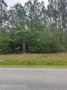 LOT 1 Leetown Rd Lot 1, Picayune, MS, 39466