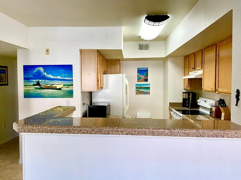 Beautiful fully equipped kitchen showcases a new fridge and a new cold/hot filtered water dispenser.