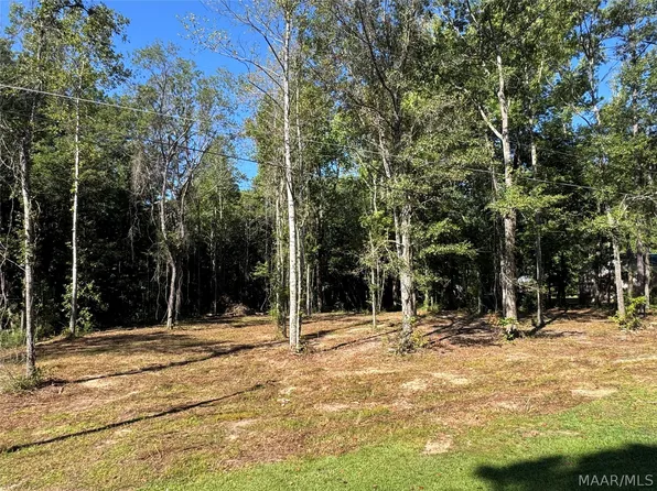 LOT 28 Brookley Dr, Eclectic, AL 36024