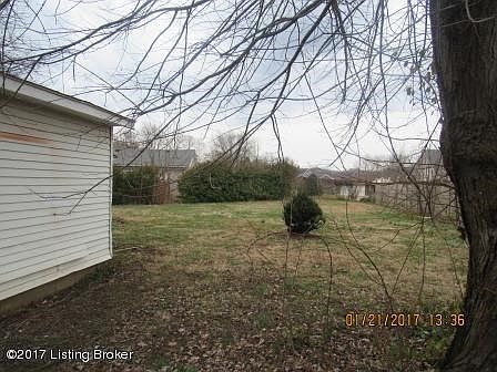 back yard