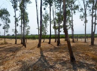 12903 Borden Rd, Herald, CA 95638