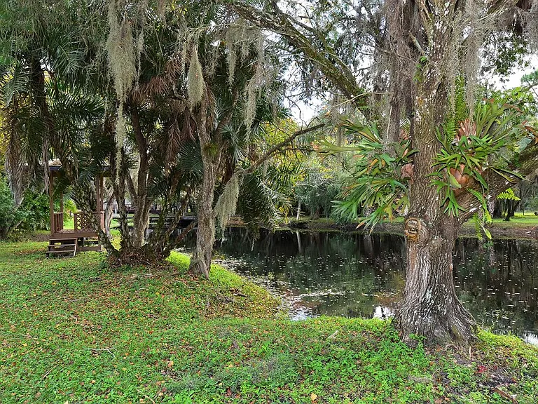 8260 Ibis St — Photo 4