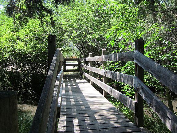 1-Bridge_10212013