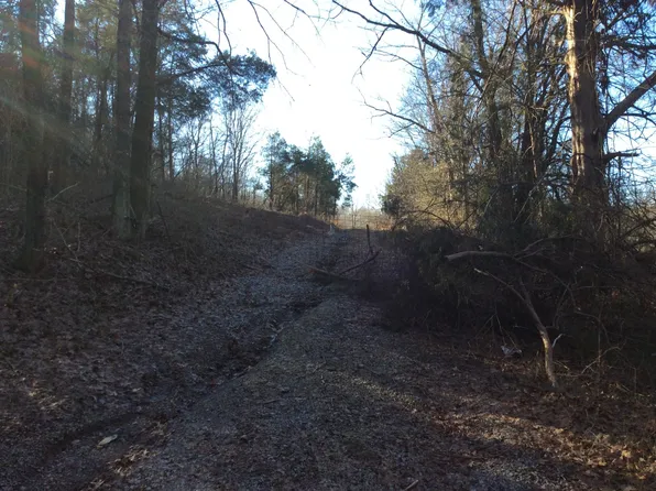 0 Hoovers Gap Frontage Rd, Christiana, TN 37037