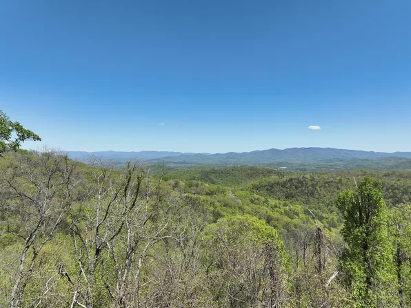 251 Blood Root Trl, Ellijay, GA 30536