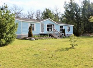 15626 Steinberg Rd, Wellston, MI 49689