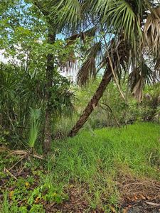 10894 W Larchwood St Lot 1, Homosassa, FL, 34448