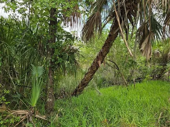 10894 W Larchwood St Lot 1, Homosassa, FL 34448