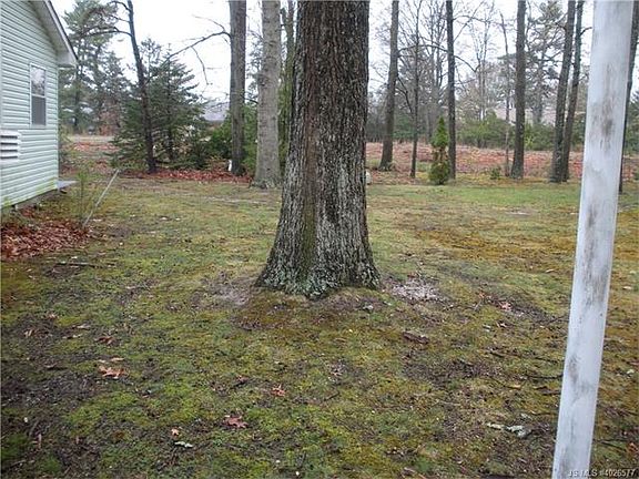 3rd image of 41 Bowie Dr