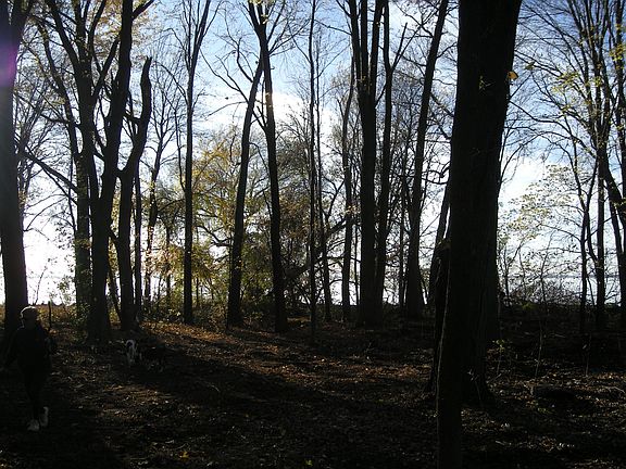 Middle view looking West