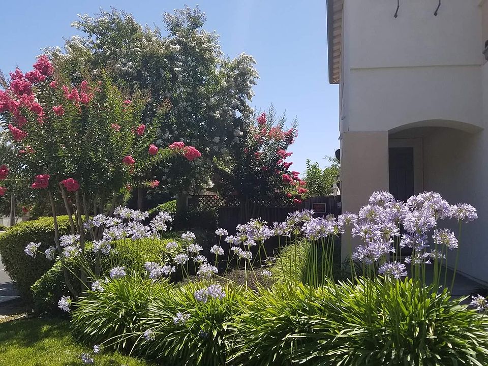 1st image of 1001 Portofino Ave