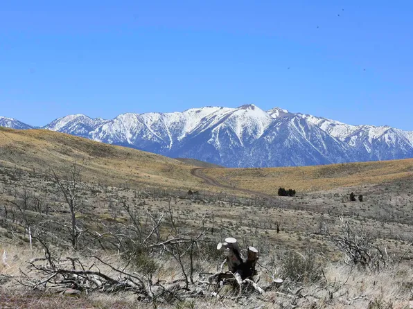 Parcels Pne, Gardnerville, NV 89410