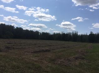 Arnold Rd, Snover, MI 48472