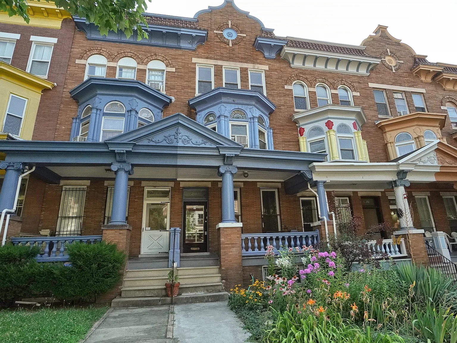 1 bed, 800 sqft, $550 — Photo 1