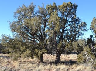 5450 County Line Rd, Snowflake, AZ 85937