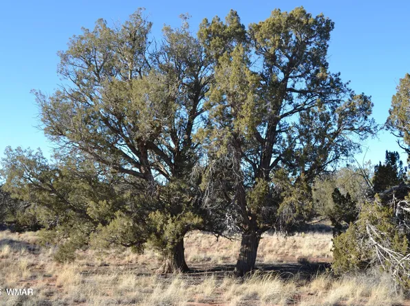 5450 County Line Rd, Snowflake, AZ 85937