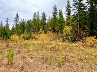 42XX Bussard Lake Rd, Loon Lake, WA 99148