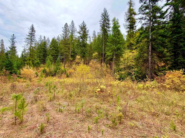 42XX Bussard Lake Rd, Loon Lake, WA 99148
