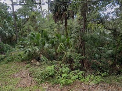 0 Tallahassee Ave, Saint Marks, FL, 32355