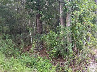 0 Walker Rd, Ridgeville, SC 29472