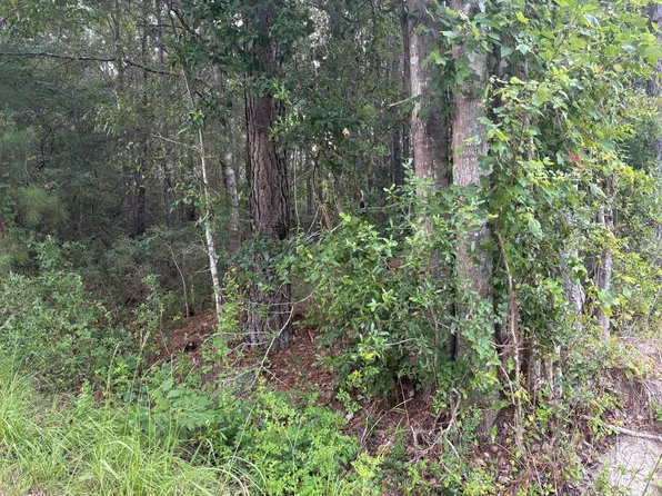 0 Walker Rd, Ridgeville, SC 29472