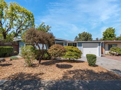 738 Olive Avenue, Novato, CA, 94945