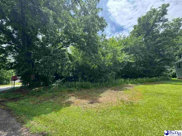 2600 Bank St, Sellers, SC 29592